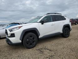 Salvage cars for sale at Riverview, FL auction: 2020 Toyota Rav4 Adventure