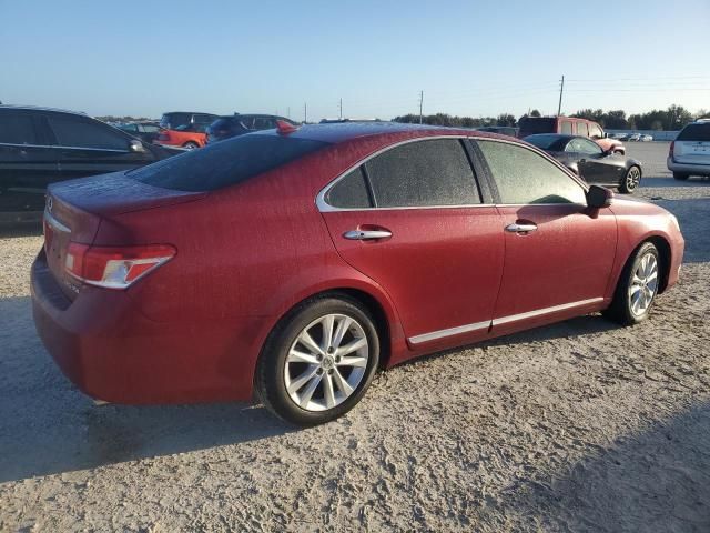 2010 Lexus ES 350