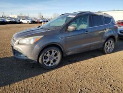 Ford Escape salvage cars for sale: 2013 Ford Escape SE