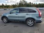 2011 Honda CR-V EXL