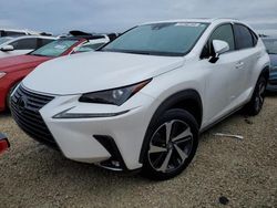 2020 Lexus NX 300 en venta en Arcadia, FL