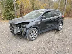 Salvage cars for sale from Copart Cookstown, ON: 2013 Ford Escape SEL