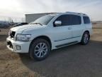 2009 Infiniti QX56