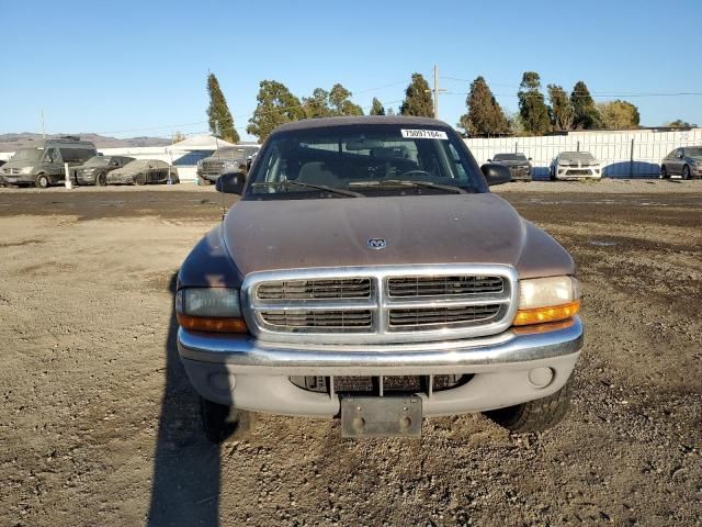 2000 Dodge Dakota Quattro