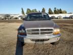 2000 Dodge Dakota Quattro