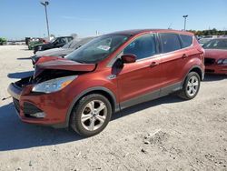 Ford Vehiculos salvage en venta: 2016 Ford Escape SE