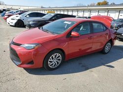 2019 Toyota Corolla L en venta en Louisville, KY