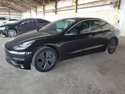 Salvage cars for sale at Phoenix, AZ auction: 2020 Tesla Model 3