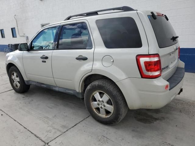 2009 Ford Escape XLT