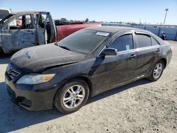 Salvage cars for sale at auction: 2010 Toyota Camry Base