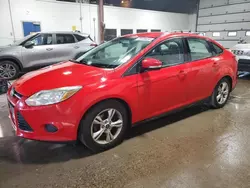 Salvage cars for sale at Blaine, MN auction: 2014 Ford Focus SE