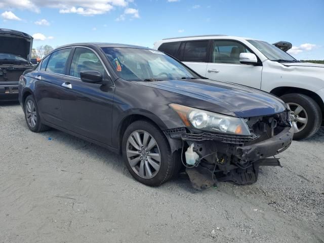 2011 Honda Accord EXL