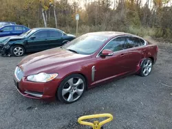 2009 Jaguar XF Supercharged en venta en Cookstown, ON