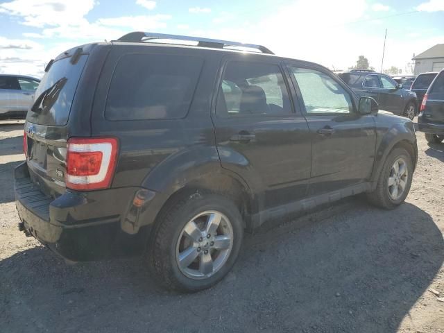 2011 Ford Escape Limited