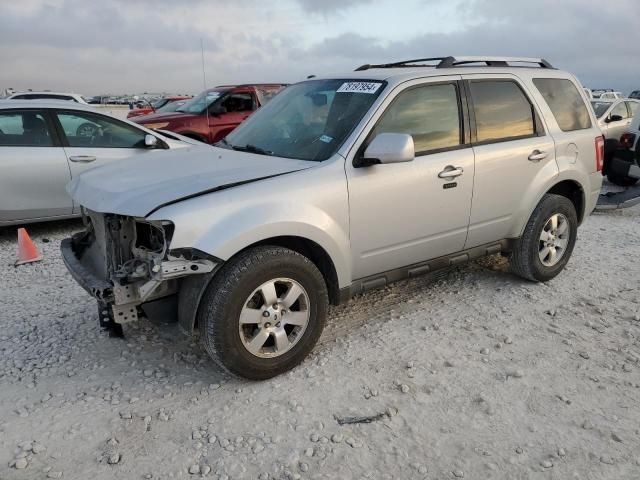 2011 Ford Escape Limited