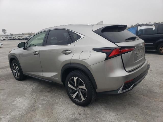 2020 Lexus NX 300H