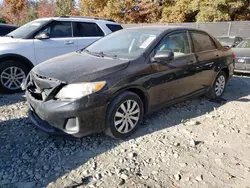 Toyota Corolla Vehiculos salvage en venta: 2013 Toyota Corolla Base