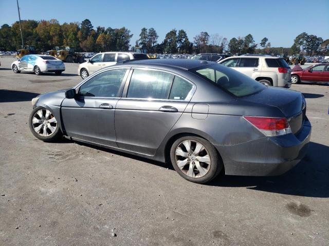 2010 Honda Accord EXL