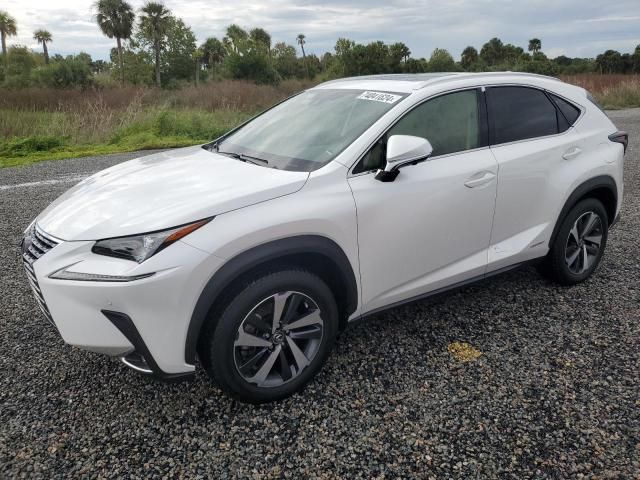 2021 Lexus NX 300H Base