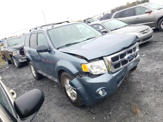 2012 Ford Escape XLT