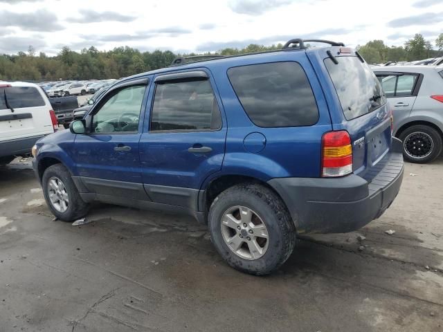 2007 Ford Escape XLT