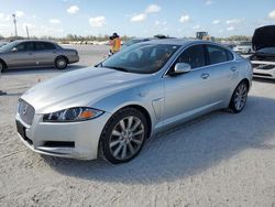 Salvage cars for sale at Arcadia, FL auction: 2014 Jaguar XF