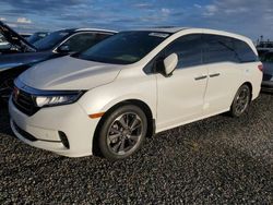 Honda Odyssey salvage cars for sale: 2023 Honda Odyssey Elite