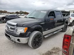 Salvage trucks for sale at Madisonville, TN auction: 2013 Ford F150 Supercrew