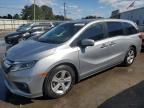 2019 Honda Odyssey EXL