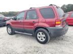 2006 Ford Escape XLT