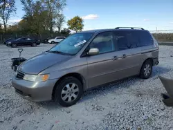 Salvage cars for sale at Cicero, IN auction: 2004 Honda Odyssey EXL