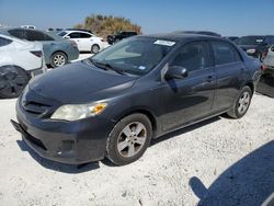 Salvage cars for sale at Temple, TX auction: 2011 Toyota Corolla Base