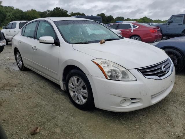 2010 Nissan Altima Base