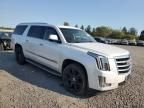 2016 Cadillac Escalade ESV Luxury