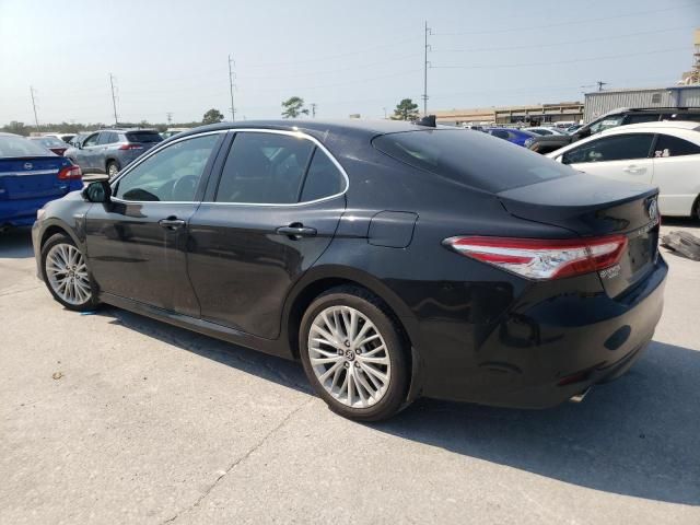 2020 Toyota Camry XLE