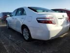 2009 Toyota Camry Hybrid