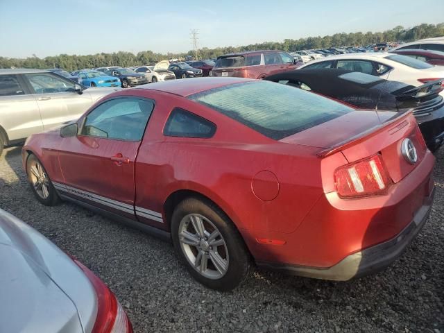 2010 Ford Mustang