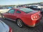 2010 Ford Mustang