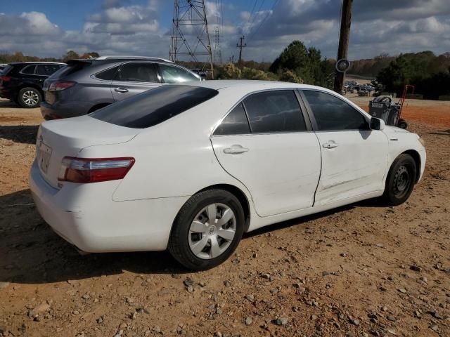 2009 Toyota Camry Hybrid