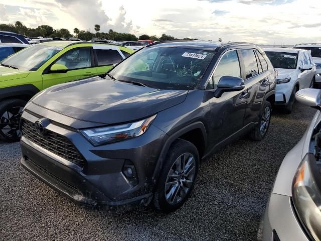 2023 Toyota Rav4 XLE Premium