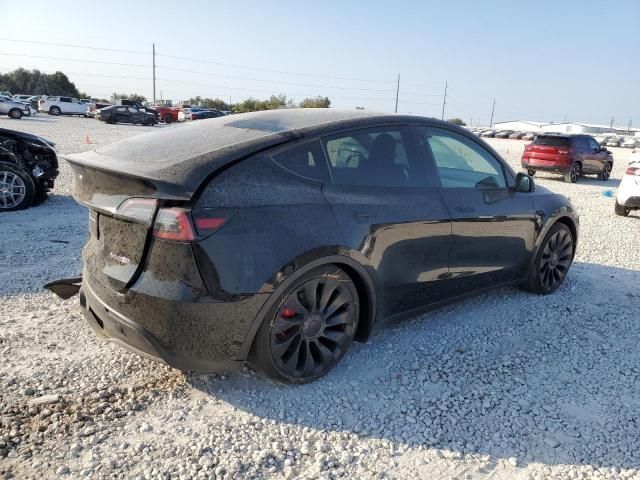 2025 Tesla Model Y