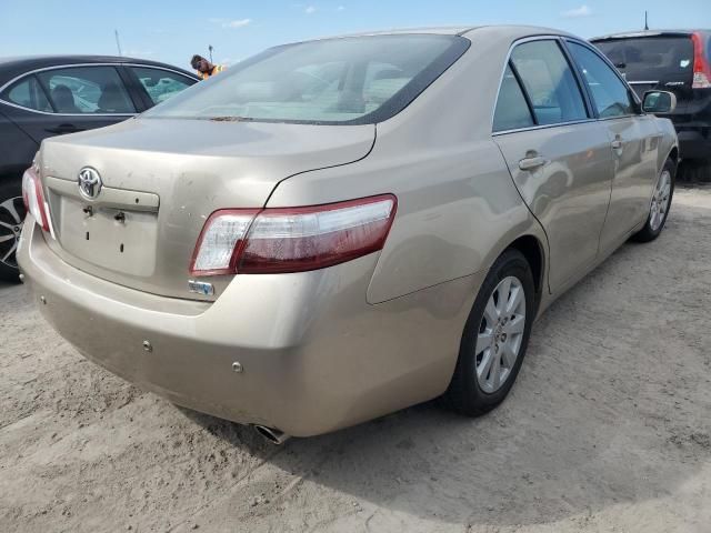 2008 Toyota Camry Hybrid