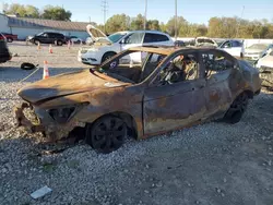 Salvage cars for sale at Columbus, OH auction: 2009 Honda Accord EXL