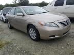 2009 Toyota Camry Hybrid