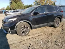 Salvage SUVs for sale at auction: 2020 Honda CR-V EXL