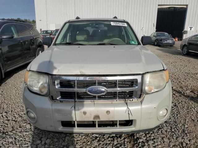 2008 Ford Escape XLT