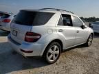 2010 Mercedes-Benz ML 350