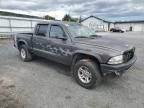 2003 Dodge Dakota Quad Sport