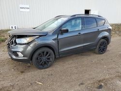 Salvage SUVs for sale at auction: 2017 Ford Escape SE