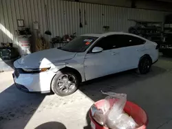 Honda salvage cars for sale: 2024 Honda Accord EX